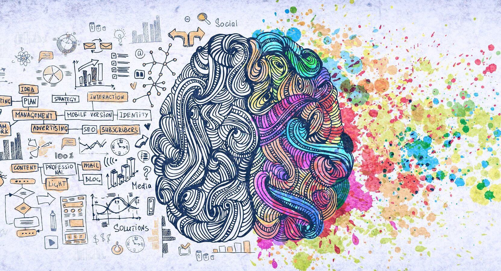 EQ vs IQ: How important is emotional intelligence?